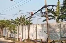 Heboh Pria Panjat Tiang Telekomunikasi, Disebut di Gresik