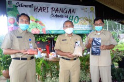 Family Farming, Cara Banyuwangi Mendorong Ketahanan Pangan Keluarga