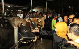Cek Ketersediaan Daging, Gubernur Khofifah Tinjau RPH Surabaya