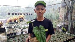 Pilihan Pembaca: Kisah Sukses Remaja hingga Khofifah Konfirm Covid-19