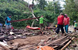 Pohon Besar Berusia 10 Tahun Tumbang Hancurkan Satu Rumah di Ponorogo
