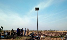 Puluhan Rumah Burung Hantu Berdiri di Desa ini