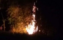 Misteri Terbakarnya Rumpun Bambu di Bawah Bukit Angker
