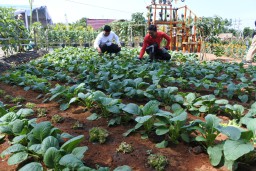 Sajikan Wisata Pertanian, Banyuwangi Agro Expo Dibanjiri Pengunjung
