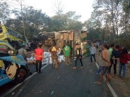 Kecelakaan Beruntun 6 Kendaraan di Baluran Situbondo, 1 Orang Tewas