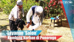 Video: Layanan 'Salon' Kambing Kurban di Ponorogo