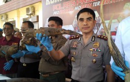 Rumah Penyimpanan Satwa Langka Dilindungi di Pasuruan Digerebek