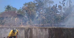 Niat Bakar Sampah, Satu Area Lahan di Pacitan Terbakar Habis 