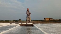 Petani Keluhkan Harga Garam di Pasuruan Rp 400 per Kilogram