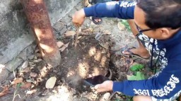 Tanah Keluarkan Bau Menyengat dan Berasap Gemparkan Warga Jombang