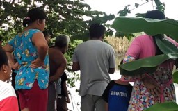 Tiga Buaya Muncul di Candi Sidoarjo, BKSDA Minta Warga Jauhi Sungai