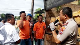 Enam Pembalak Liar Kayu Jati di Banyuwangi Diringkus, 9 Orang Buron