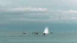Viral Video Nelayan Gunakan Bom Ikan di Banyuwangi