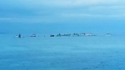 Polisi Selidiki Nelayan Gunakan Bom Ikan di Banyuwangi yang Viral