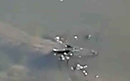Penampakan Buaya di Sungai Resahkan Warga Mojokerto