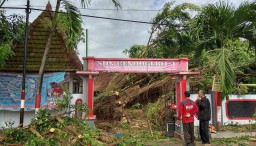 Pohon Tumbang Disapu Angin Timpa Gedung Sekolah di Blitar