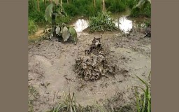 Semburan Lumpur Bercampur Gas Muncul di Bojonegoro
