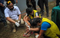 Bongkar Sindikat Narkoba Sumatera-Jawa, Polisi Surabaya Sita 8 Kg Sabu
