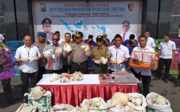 Sindikat Perdagangan Hewan Langka Dilindungi di Jawa Timur Dibongkar