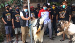 Bertemu Peternak Kambing Peranakan Etawa, Ini Kata Sugiri