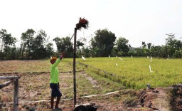Semburan Api Muncul dari Sumur di Ladang Warga Ngawi