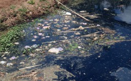 DLH Ambil Sampel Air Sungai Mungkungan Ponorogo yang Hitam dan Bau