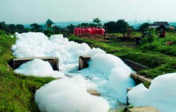 Heboh Sungai Berbusa di Pandaan Pasuruan, DLH Turun Tangan