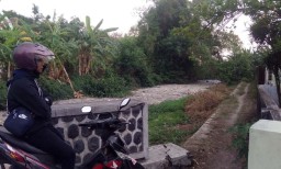 Sungai di Mojokerto Tercemar, Diduga Akibat Limbah Usus Ayam