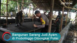 Video: Bangunan Sarang Judi Ayam di Probolinggo Dibongkar Polisi