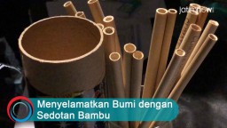 Video: Menyelamatkan Bumi dengan Sedotan Bambu