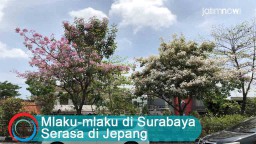 Video: Mlaku-mlaku di Surabaya Serasa di Jepang