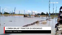 Video: Lomba Balap Traktor di Sidoarjo