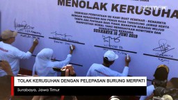 Video: Tolak Kerusuhan dengan Pelepasan Burung Merpati
