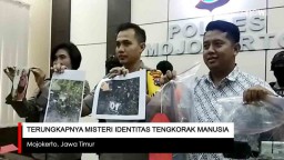 Video: Terungkapnya Misteri Identitas Tengkorak Manusia 