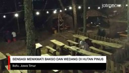 Video: Sensasi Menikmati Bakso dan Wedang di Tengah Hutan Pinus