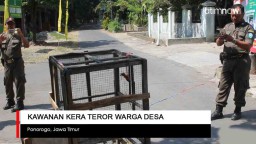 Video: Kawanan Kera Teror Warga Desa di Ponorogo