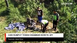 Video: Cari Rumput, Tewas Disambar Kereta Api