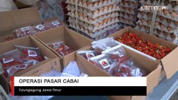 Video: Operasi Pasar Cabai di Tulungagung
