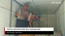 Video: Penyelundupan Arak Bali Digagalkan
