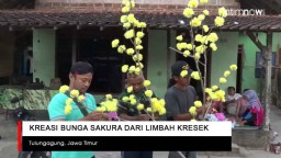 Video: Kreasi Bunga Sakura dari Limbah Kresek