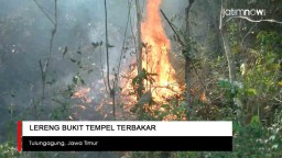 Video: Lereng Bukit Tempel Tulungagung Terbakar