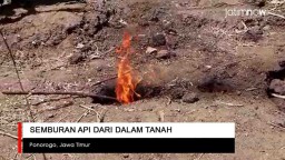 Video: Semburan Api dari dalam Tanah Gemparkan Warga Ponorogo