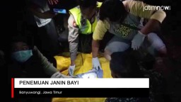 Video: Penemuan Janin Bayi Dalam Kardus