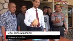 Polisi Autopsi Kucing yang Diberi Cairan Diduga Miras ke Labfor