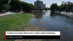 Video: Sungai Kalimas Surut Gara-gara Kemarau