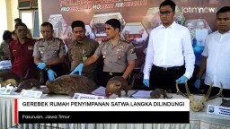 Video: Polisi Bongkar Rumah Penyimpanan Satwa Langka Dilindungi