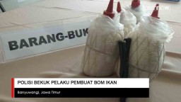 Video: Pembuat Bom Ikan di Banyuwangi Dibekuk