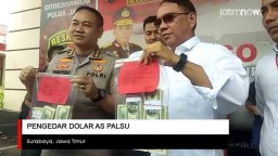 Video: Pengedar Dolar AS Palsu Ditangkap