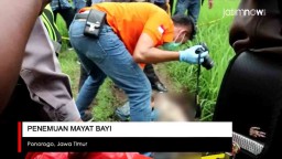 Video: Penemuan Bayi dalam Saluran Irigasi