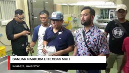 Video: Bandar Narkoba Ditembak Mati